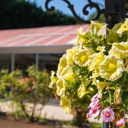 Guest house Les D'halatte *