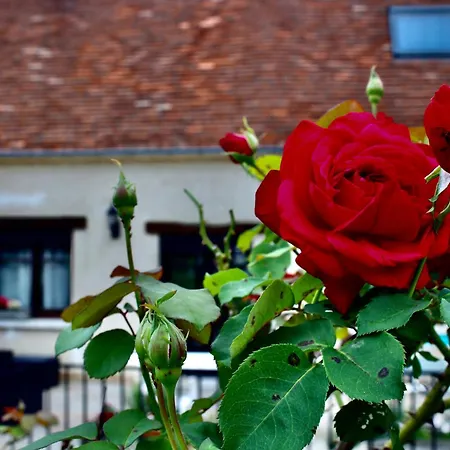 Les D'halatte Guest house *