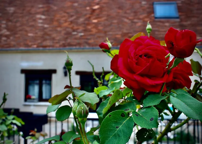 Les D'halatte Gasthuis 3*